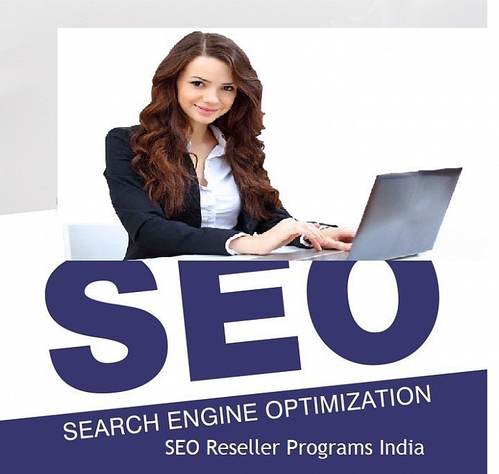 SEO Reseller India